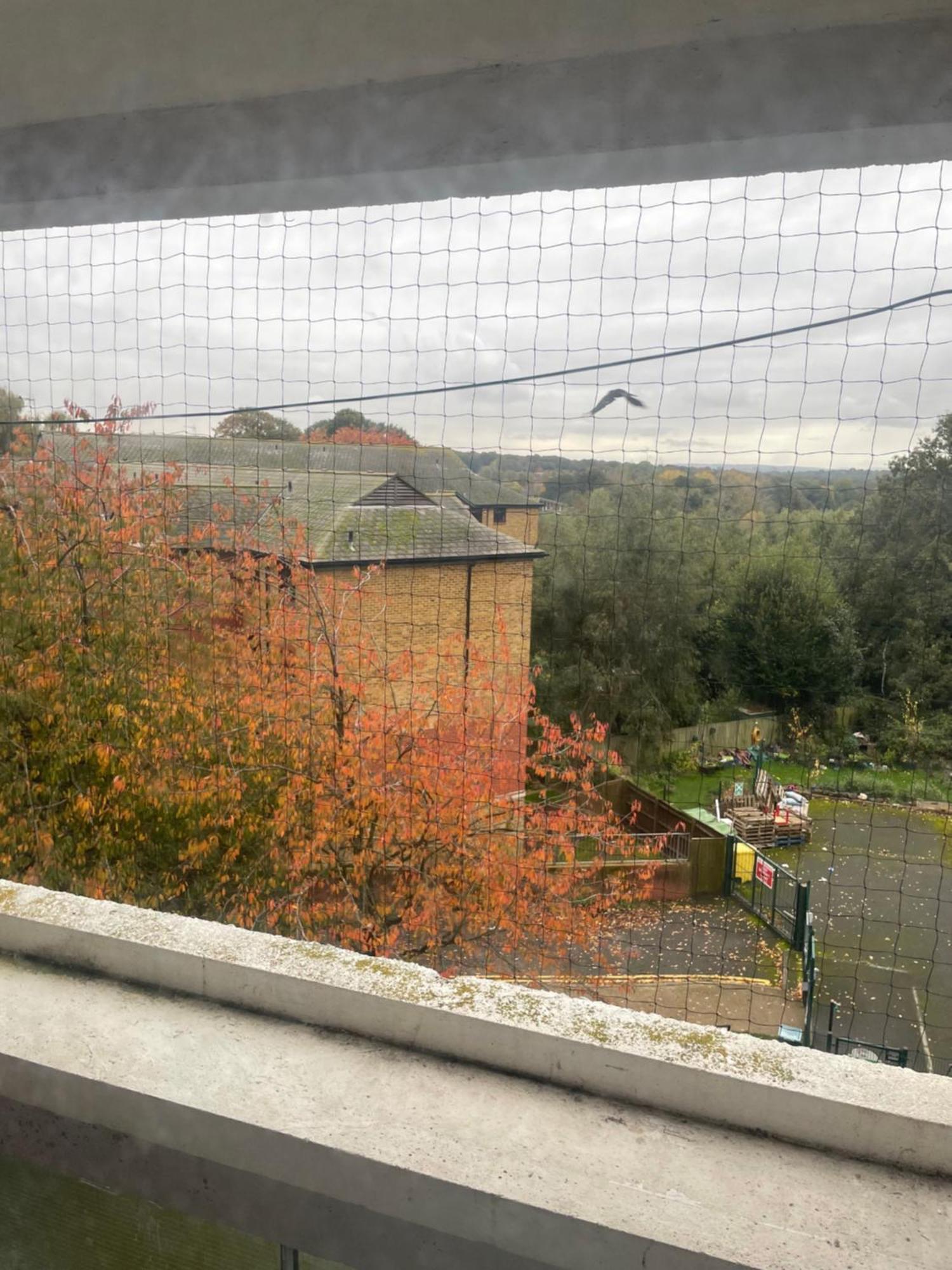 2bed By Roehampton London
